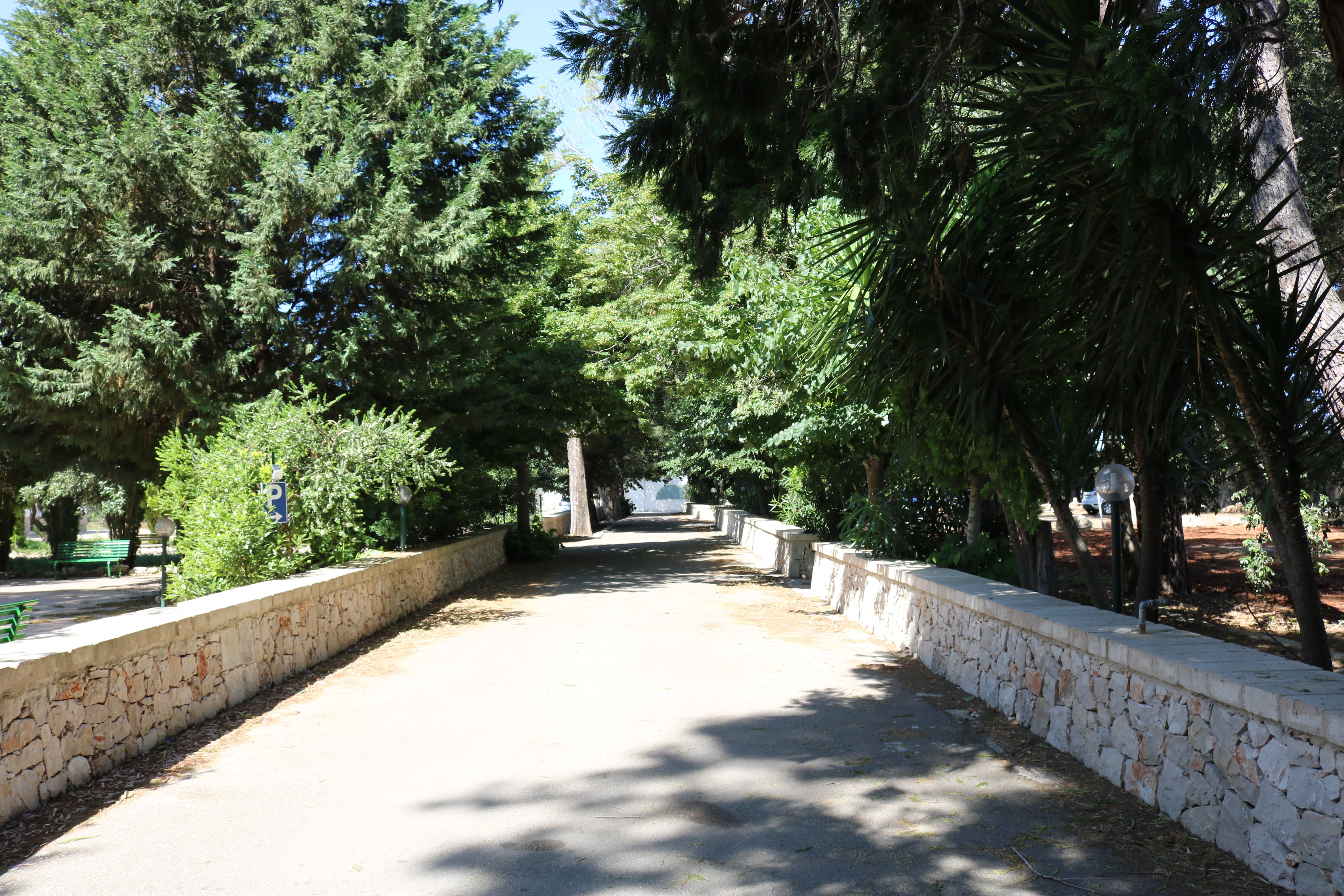 Foto del viale principale
